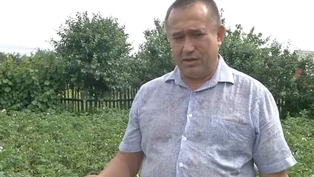 Как спасти урожай картофеля ? смотреть онлайн