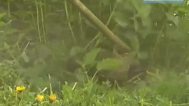 Залатали дорожные ямы - косим траву. АрмСтрой облагораживает придорожные территории. смотреть онлайн