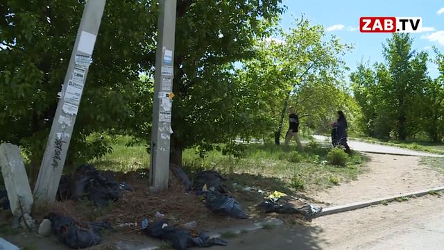 АКТУАЛЬНО - Сквер МЖК смотреть онлайн