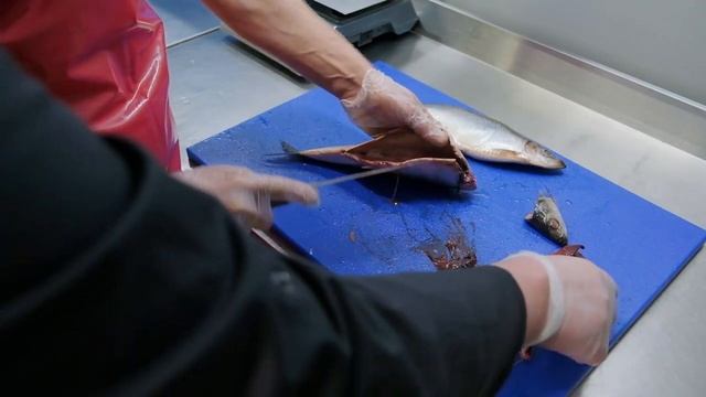 Фарерская сельдь — разделка и посол смотреть онлайн