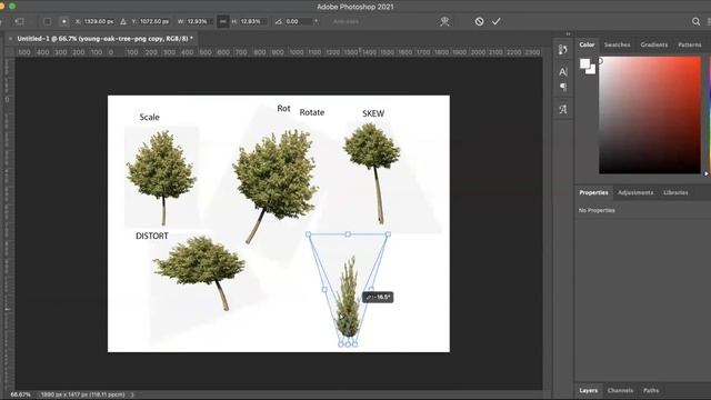 Tutorial on How to Use 8 Transform Tools on Adobe Photoshop смотреть онлайн