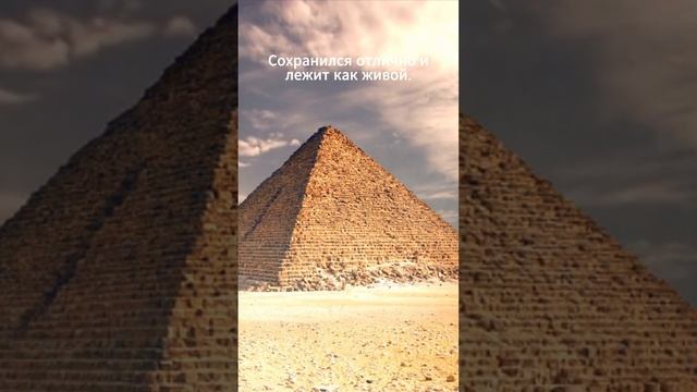 Анекдот Фараон и студентка? #анекдоты смотреть онлайн