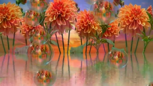 ✿♫ Summer, Oh, Summer - lovely dahlias ♫✿ смотреть онлайн