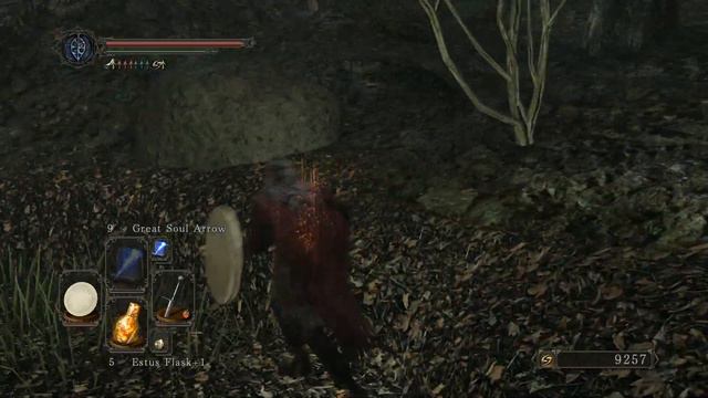 Dark Souls II (Part 31) Shaded Woods смотреть онлайн