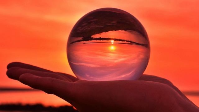 Китайский гороскоп бык смотреть онлайн