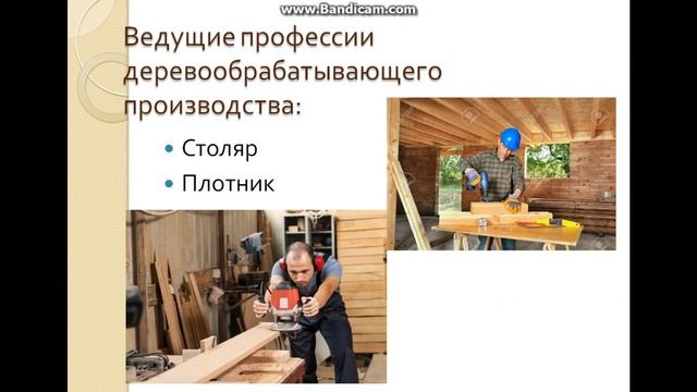 Лесная и деревообрабатывающая промышленность Заготовка древесины смотреть онлайн
