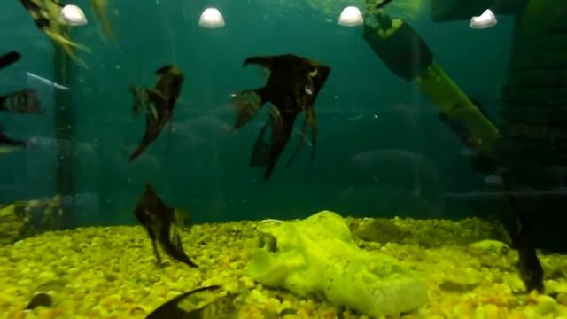 Уличная жизнь часть 4 смотреть онлайн