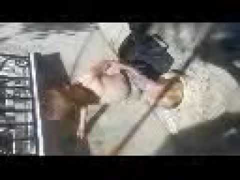 ДОМАШНЕЕ ВИНО И МЕДОВУХА 22.08.2022г.