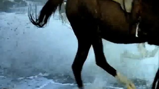 запуск Движения "Всегда по-рыцарски" смотреть онлайн