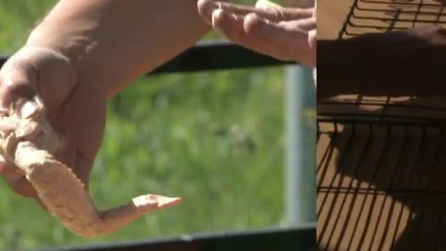 стационарный мангал в беседке смотреть онлайн