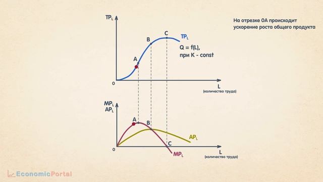Общий, предельный и средний продукт смотреть онлайн