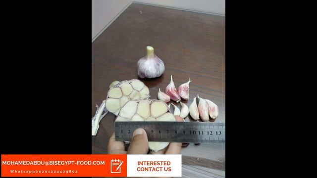 Red Garlic Supplier, Red Garlic Supplier Suppliers and Manufacturers at Alibaba.com смотреть онлайн