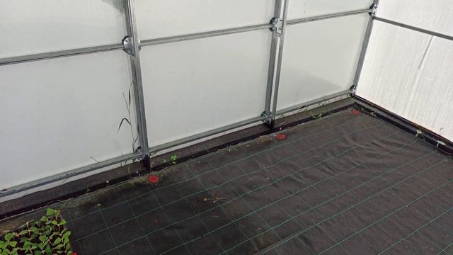 Теплица для черенкования. смотреть онлайн