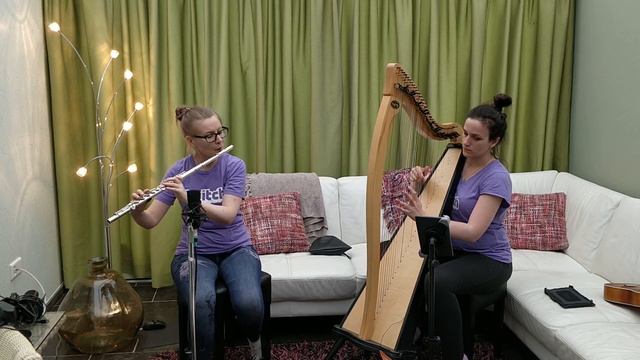 Secrets from the Forest (Flute & Harp improv) смотреть онлайн