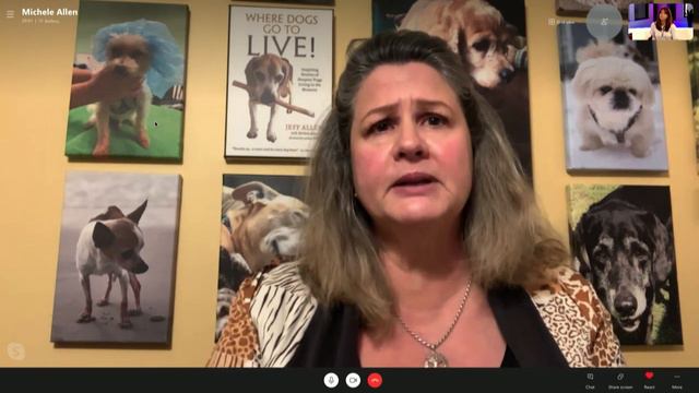 How To Create A Sanctuary For Senior Dogs With Michele Alle‪n (Full-Length Episode)