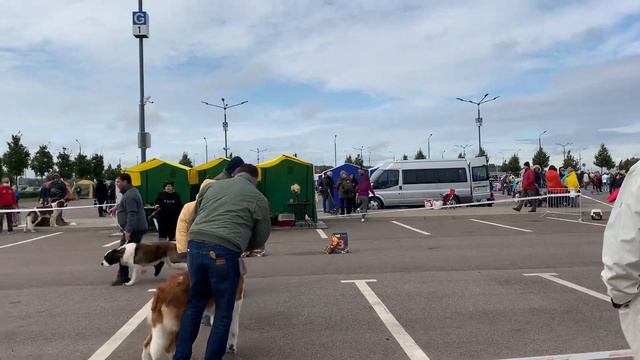 Промежуточный класс смотреть онлайн