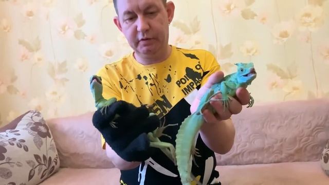 Показываю всех своих ящериц смотреть онлайн