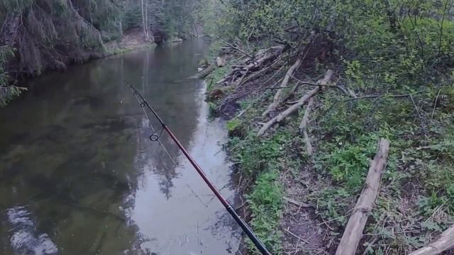 Атмосферная рыбалка. ДИКАЯ ФОРЕЛЬ. смотреть онлайн