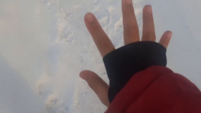 прода видео готовим ужин печь панкейки мы не будем смотреть онлайн