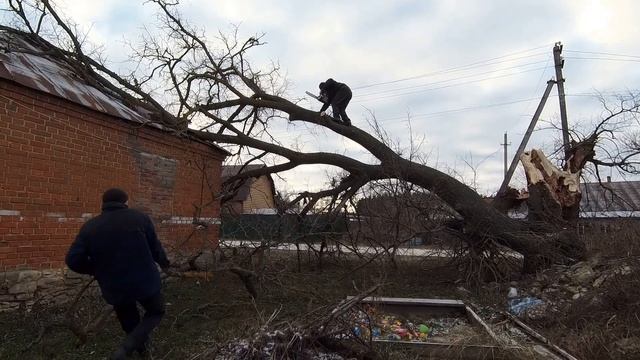 В селе после урагана дерево упала на крышу дома и порвала провода!Жизнь в селе! смотреть онлайн