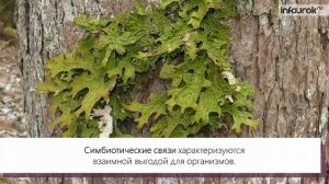 22  Основные типы экологических взаимодействий