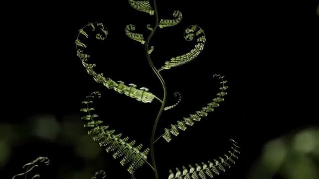 Мощная Все исцеляющая Матрица Гаряева ☀️ Мощное Исцеление Всего Организма ☀️ Регенерация Всего Тела смотреть онлайн