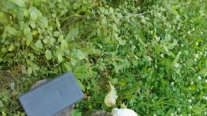 Замена масла, пропитка воздушного фильтра на ПитБайке KAYO 125✅