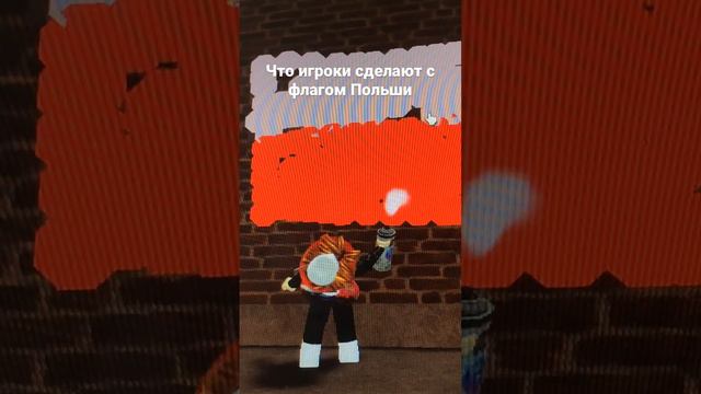 Проверка игроков что игроки сделают с флагом Польши смотреть онлайн