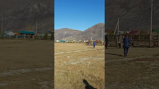 База Альтаир смотреть онлайн