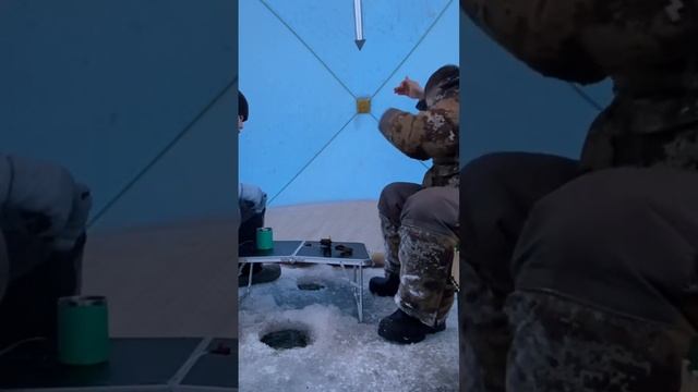 Сиг пыжьян #рыбалка #рыбалканаямале смотреть онлайн