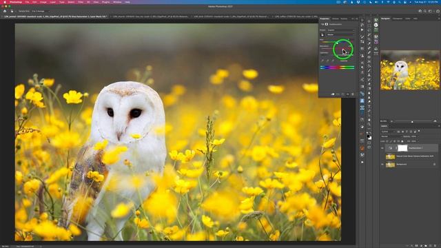 PHOTOSHOP CAMERA RAW FILTER: Natural Color Boost (CALIBRATION TOOL) смотреть онлайн