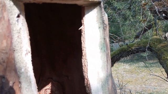 Колода для пчел смотреть онлайн