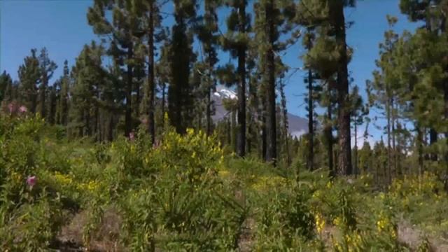 Parque Nacional de El Teide смотреть онлайн