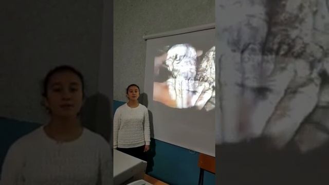 И.С. Тургенев стихотворение в прозе «Милостыня» смотреть онлайн