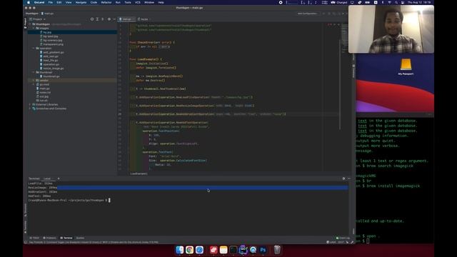 Building a Photoshop-Killer with Golang (PT.1) смотреть онлайн