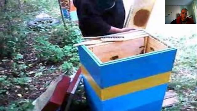 Улья - какой лучше? смотреть онлайн