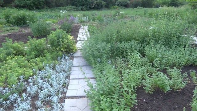 1 часть Южно-Уральский ботанический сад-институт ул менделеева 3 июня 2023.большая плантация пионов смотреть онлайн