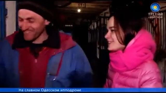 Как живут лошади на одесском ипподроме. смотреть онлайн
