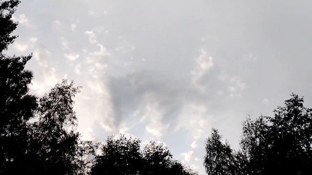 И носило меня как осенний листок.🍁🌪️🔥