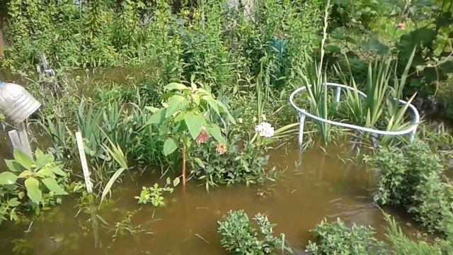 Дачные острова УХОДЯТ ПОД ВОДУ . Большая вода пришла и в Хабаровск . смотреть онлайн