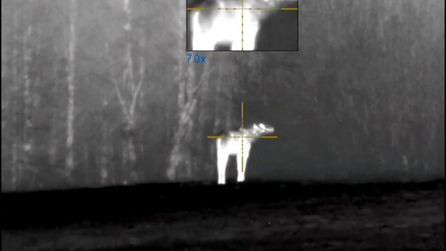 Iwt Demon. Pulsar Trail 2. Pulsar Helion 2. Тепловизионные приборы.