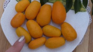 Австралийский лайм «Санрайз»  \  Australian Sunrise Lime