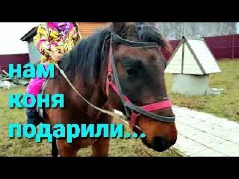 ДАРЕНОМУ КОНЮ В ЗУБЫ НЕ СМОТРЯТ смотреть онлайн