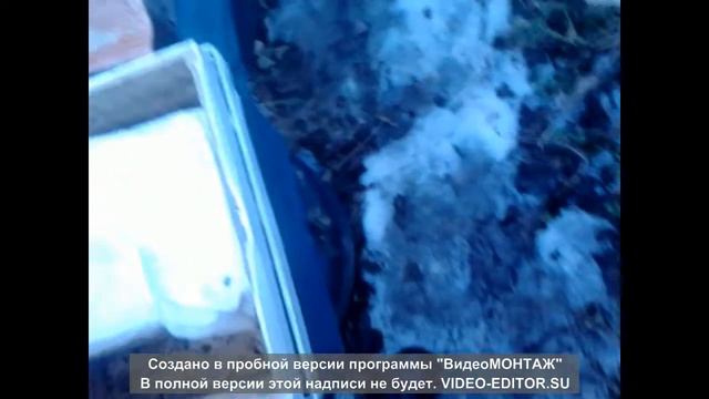 1Января 2021. +5С Пчелиный клуб распался. Охлаждение гнезда. Нервные пчелы смотреть онлайн