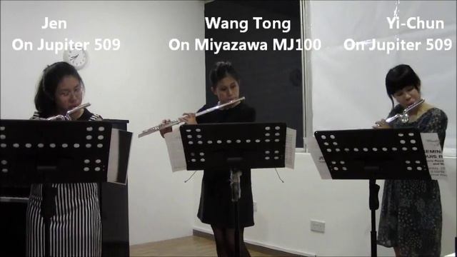 FluteTrio with main theme from Tchaikovsky's Dance of the Little Swans смотреть онлайн