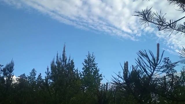 Осип Мандельштам Нежнее нежного смотреть онлайн