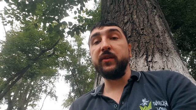 Чайная выставка в Шэнжене. Культура Китая. Гуанси. смотреть онлайн