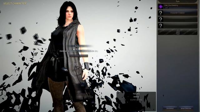 Black Desert - Name Holder Character смотреть онлайн