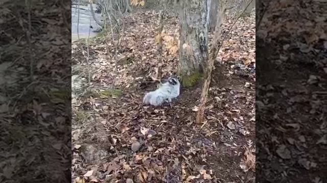 Передаёт привет)) смотреть онлайн