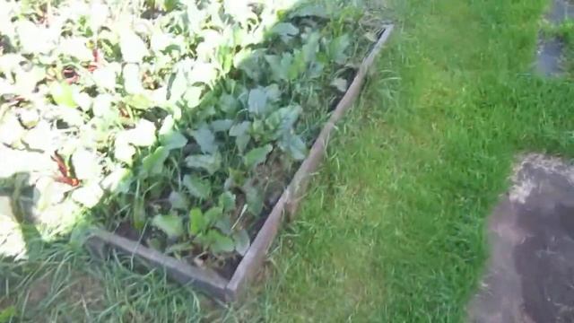 Дыры в почве кто их делает смотреть онлайн